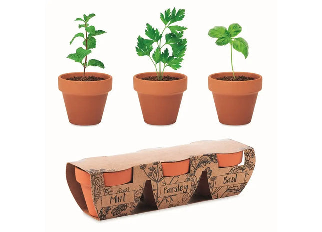 FLOWERPOT Kräuter-Terracotta-Set - Holz, Natürlich & Stilvoll TK Gruppe® Grosshandel 