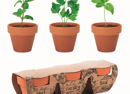 FLOWERPOT Terracotta-Kräuterset – Züchten Sie Kräuter stilvoll in Holzoptik TK Gruppe® Grosshandel 