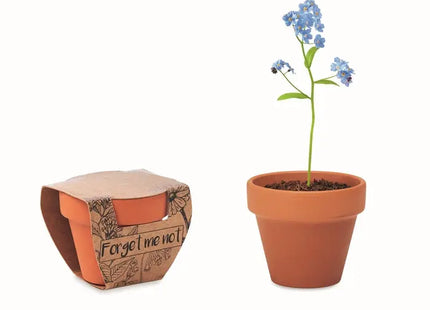 FORGET ME NOT Terracotta-Topf mit Holzuntergestell - Ideal für Vergissmeinnicht TK Gruppe® Grosshandel 