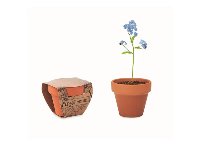 FORGET ME NOT Terracotta-Topf mit Holzuntergestell - Ideal für Vergissmeinnicht TK Gruppe® Grosshandel 