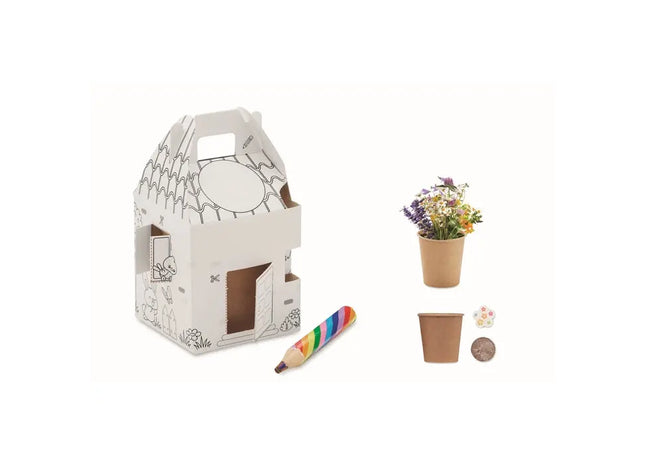 FULLHOUSE Kinder Saat-Set - Buntes Pflanzerlebnis TK Gruppe® Grosshandel 