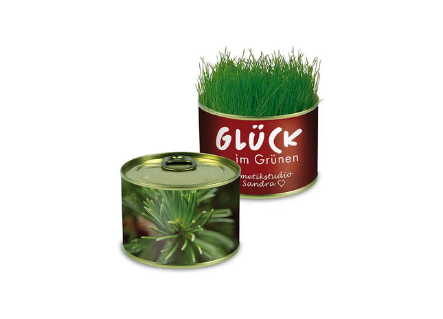Fichte Natur-Konserve mit Bedruckter Banderole - Nachhaltiges Geschenk TK Gruppe® Grosshandel 