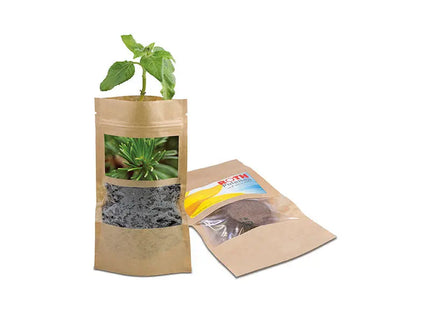 Fichtensamen-Tüte – Pflanzen Sie Ihren eigenen immergrünen Baum TK Gruppe® Grosshandel 