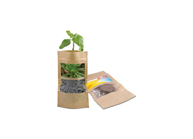 Fichtensamen-Tüte – Pflanzen Sie Ihren eigenen immergrünen Baum TK Gruppe® Grosshandel 