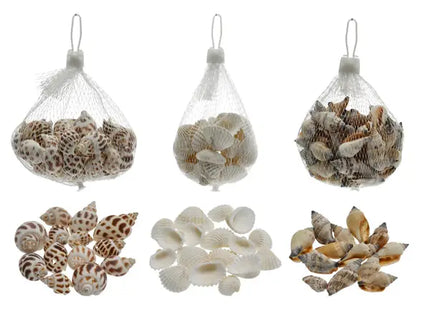 Frische Muscheln, 3er-Pack - Ca. 100 g hochwertige Meeresfrüchte zum Kochen & Genießen TK Gruppe® Grosshandel 