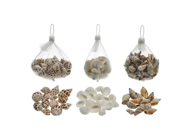 Frische Muscheln, 3er-Pack - Ca. 100 g hochwertige Meeresfrüchte zum Kochen & Genießen TK Gruppe® Grosshandel 