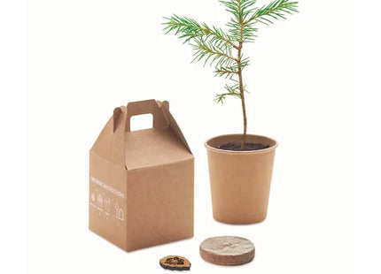 GROWTREE™ Kiefernsamen-Set in Beige - Pflanzen Sie Ihre eigene Kiefer TK Gruppe® Grosshandel 