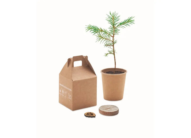 GROWTREE™ Kiefernsamen-Set in Beige - Pflanzen Sie Ihre eigene Kiefer TK Gruppe® Grosshandel 
