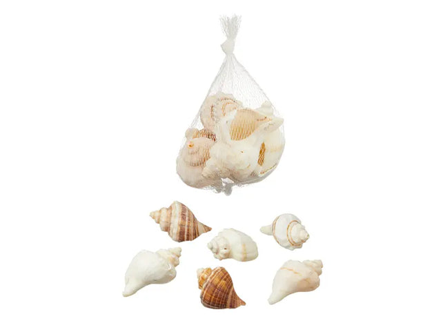 Große Meeresfrüchte, Ca. 150g - Frischer Genuss aus dem Meer TK Gruppe® Grosshandel 