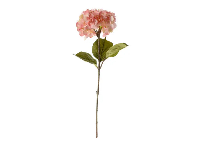 Große Rosa Hortensie, 85cm Hoch - Lebendige Blumendekoration TK Gruppe® Grosshandel 