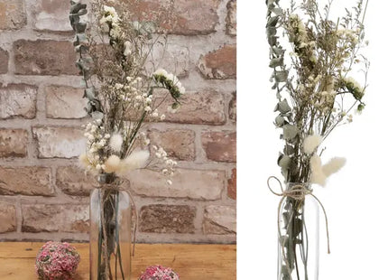 Große Trockenblumen Pampasgras in Vase | 6x52cm Dekoratives Arrangement | Natürliche Wohnkultur TK Gruppe® Grosshandel 