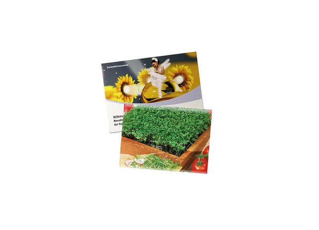 Großes Basilikum-Samentütchen aus Standardpapier – Ideal für Gartenliebhaber TK Gruppe® Grosshandel 