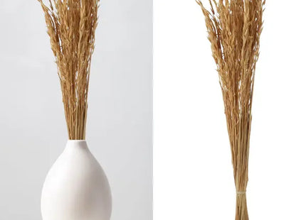 Hafer Avena Trockenblumen-Bund - Natürliches Hochdekor, ca. 85-90cm TK Gruppe® Grosshandel 