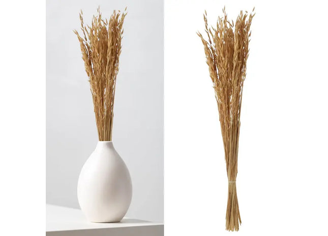 Hafer Avena Trockenblumen-Bund - Natürliches Hochdekor, ca. 85-90cm TK Gruppe® Grosshandel 