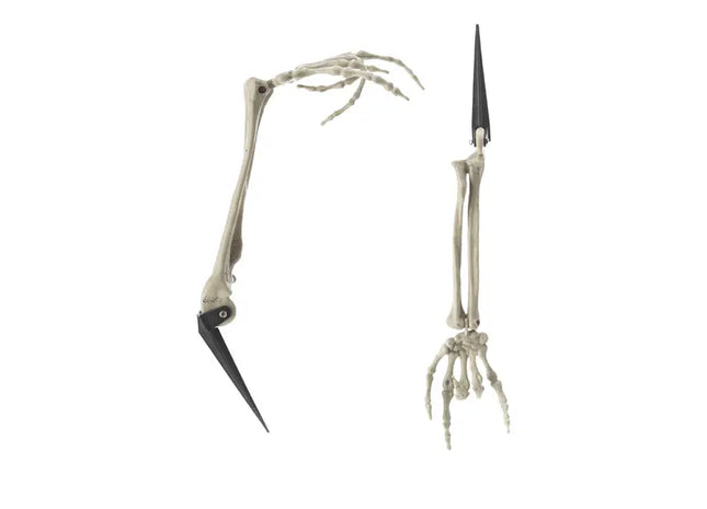 Handknochenmodell mit Erdspieß, Stabil 50 cm Länge, Lehrreiches Zubehör TK Gruppe® Grosshandel 