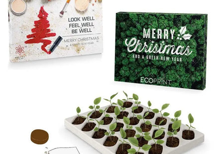 Innovativer Adventskalender mit Pflanzensamen – Jeden Tag ein Wachstumswunder TK Gruppe® Grosshandel 