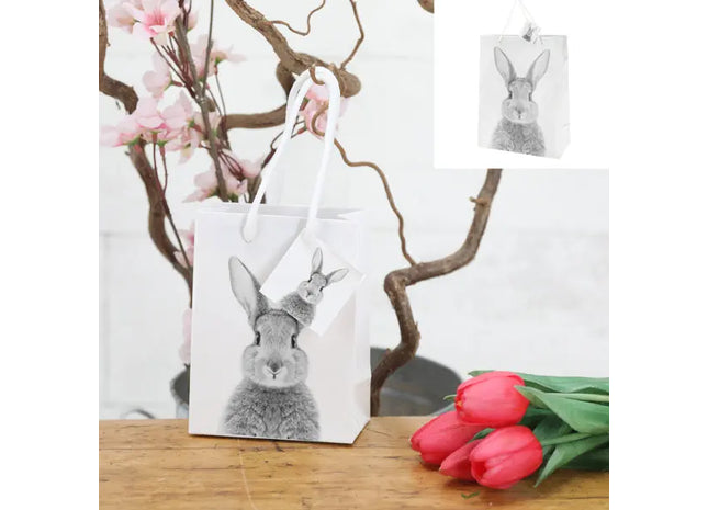 Kleine Hase Geschenktasche, Niedliches Design, Ca. 14cm Hoch - Ideal für Kleinigkeiten! TK Gruppe® Grosshandel 