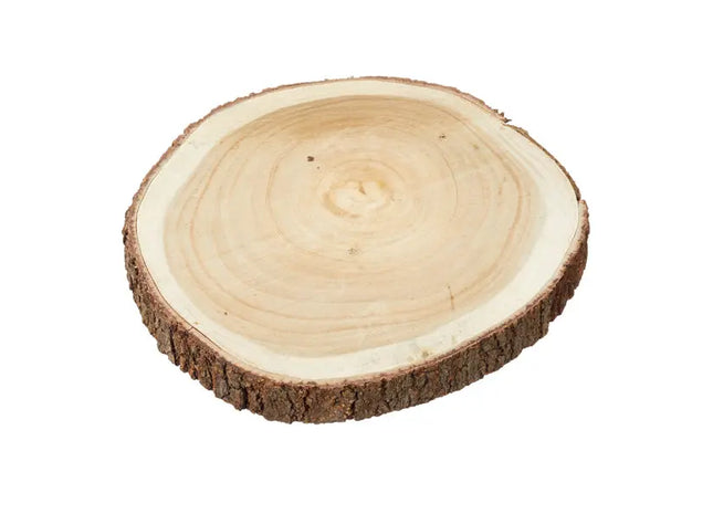 Kleine Holzscheibe | 29cm Durchmesser | Dekorative Baumscheibe | DIY Bastelbedarf | Naturholz TK Gruppe® Grosshandel 