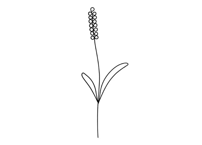 Kompakter Lavendel-Duftverteiler, Geradliniges Design, 22cm Höhe TK Gruppe® Grosshandel 