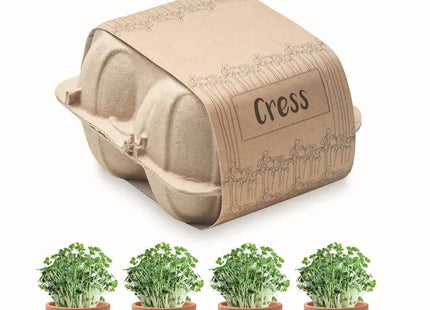 Kresse-Saat-Set 'CRESS' in Beige - Einfach & Schnell Anzucht TK Gruppe® Grosshandel 