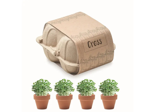 Kresse-Saat-Set 'CRESS' in Beige - Einfach & Schnell Anzucht TK Gruppe® Grosshandel 