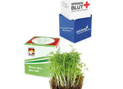 Kressesamen Würfel aus Kokosfasern und Naturkautschuk – Natürliches Pflanzset TK Gruppe® Grosshandel 