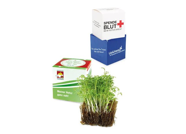 Kressesamen Würfel aus Kokosfasern und Naturkautschuk – Natürliches Pflanzset TK Gruppe® Grosshandel 