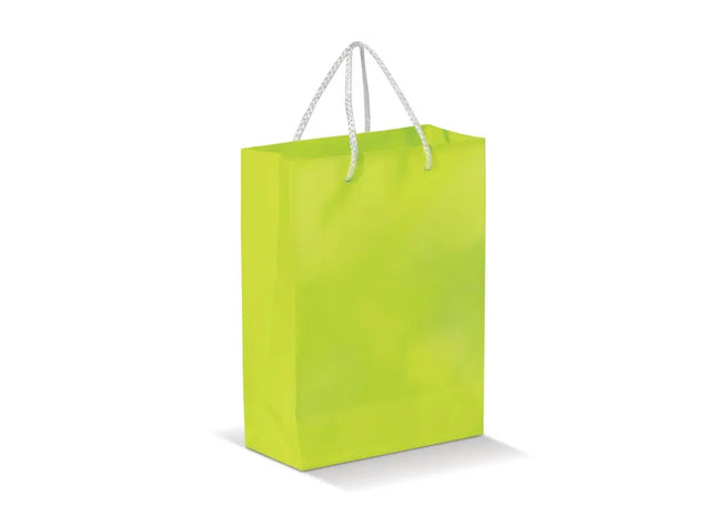 Laminierte Papiertasche, groß - Hellgrün Robuste und stilvolle Tragetasche TK Gruppe® Grosshandel 