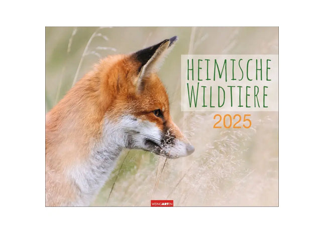 Landschaft & Natur Kalender - Wildtiere des Heimatlandes TK Gruppe® Grosshandel 