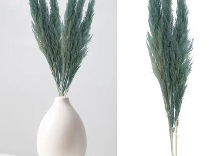Leuchtend Blaues Pampasgras - 3 Stiele, Länge 100-115cm TK Gruppe® Grosshandel 