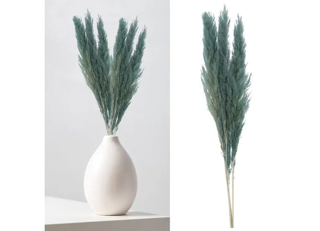 Leuchtend Blaues Pampasgras - 3 Stiele, Länge 100-115cm TK Gruppe® Grosshandel 