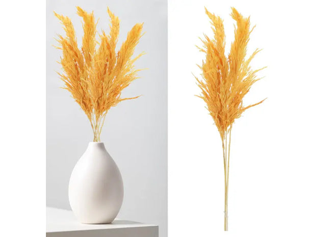Leuchtend Orangefarbenes Pampasgras - 3er Set, Länge 90-100cm TK Gruppe® Grosshandel 