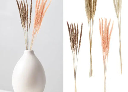 Luxuriöses Pampasgras Bündel - 6 Stiele, Style 1, 65-75cm Länge, Elegante Deko, Set von 4 TK Gruppe® Grosshandel 