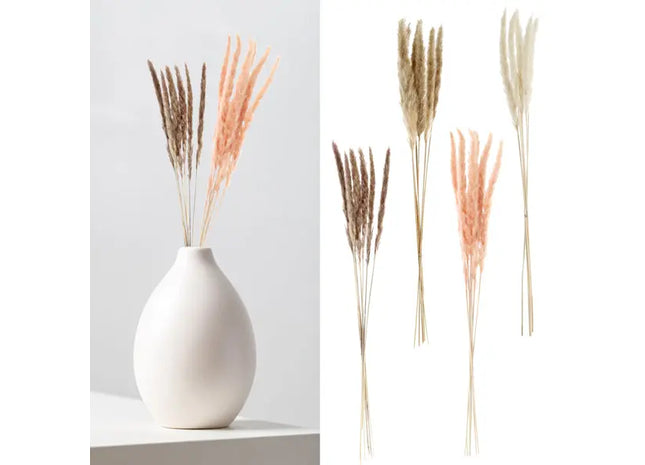 Luxuriöses Pampasgras Bündel - 6 Stiele, Style 1, 65-75cm Länge, Elegante Deko, Set von 4 TK Gruppe® Grosshandel 