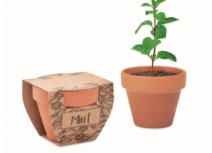 MINT POT Terrakotta-Topf für Minze - Elegantes Holzdesign TK Gruppe® Grosshandel 