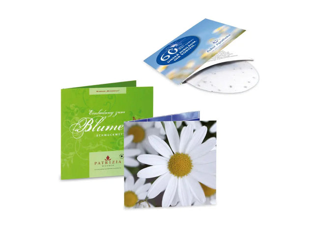 Margeriten-Samenkissenkarte – Ökologisches Grußgeschenk für Gärtner TK Gruppe® Grosshandel 