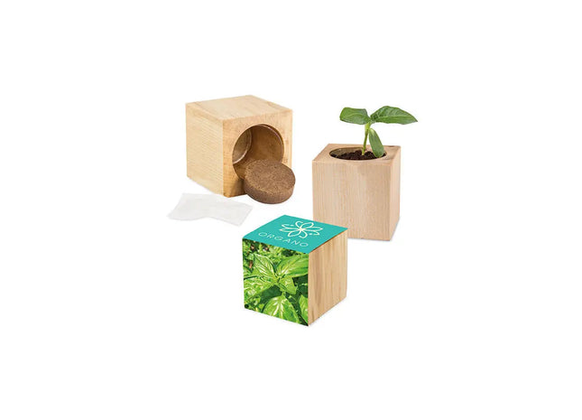 Maxi-Holzpflanzset mit Druck – Basilikumanbau leicht gemacht TK Gruppe® Grosshandel 