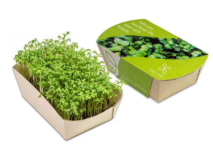 Microgreens-Gärtchen Kresse - Frisch & Gesund Anbauen TK Gruppe® Grosshandel 