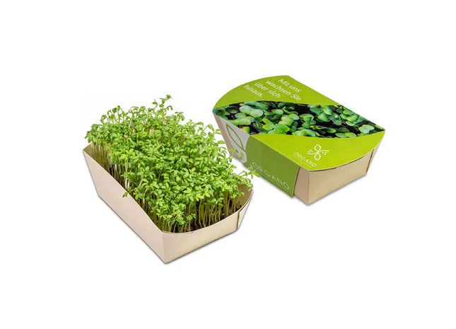 Microgreens-Gärtchen Kresse - Frisch & Gesund Anbauen TK Gruppe® Grosshandel 