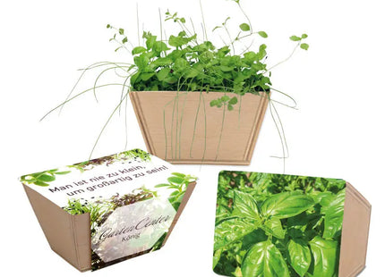Mini-Beet mit Lasergravur - Basilikum - Stilvoll & Praktisch TK Gruppe® Grosshandel 
