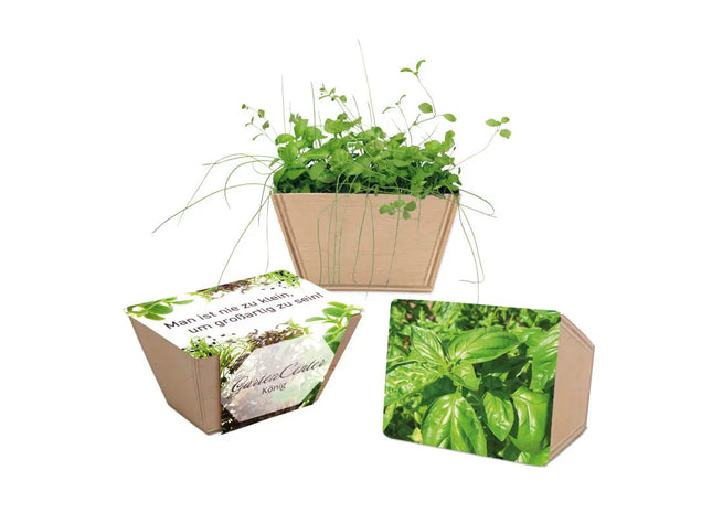 Mini-Beet mit Lasergravur - Basilikum - Stilvoll & Praktisch TK Gruppe® Grosshandel 