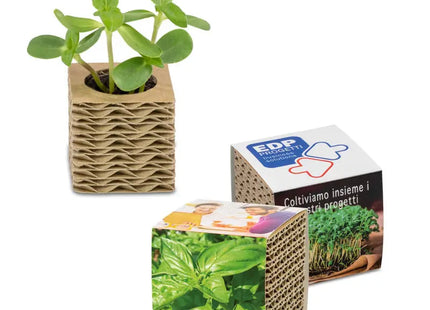 Mini-Pflanzbox aus Wellpappe mit individueller Banderole - Basilikum TK Gruppe® Grosshandel 