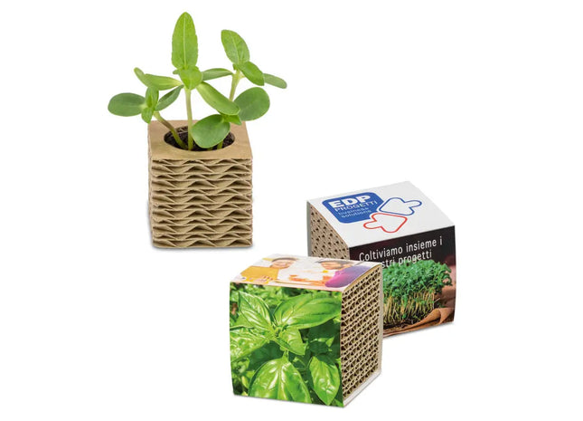 Mini-Pflanzbox aus Wellpappe mit individueller Banderole - Basilikum TK Gruppe® Grosshandel 