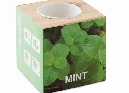 Minze-Anzuchtset 'MENTA' in Holzoptik - Frische Kräuter Zuhause TK Gruppe® Grosshandel 