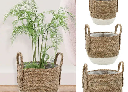 Pflanzkorb Set aus Cattail, Bauchige Form, 3er Set, Weiß/Natur – Umweltfreundliche Deko TK Gruppe® Grosshandel 