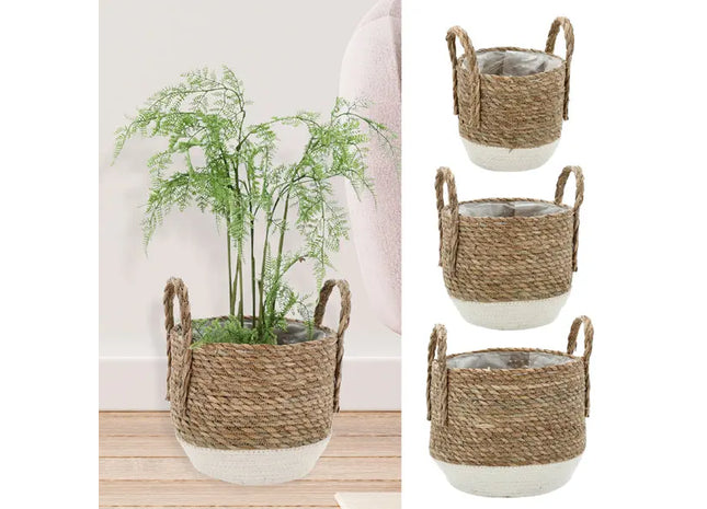 Pflanzkorb Set aus Cattail, Bauchige Form, 3er Set, Weiß/Natur – Umweltfreundliche Deko TK Gruppe® Grosshandel 