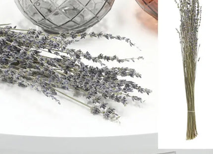 Natürlicher Lavendelzweig, 45-55 cm - Aromatischer Dekorzweig TK Gruppe® Grosshandel 
