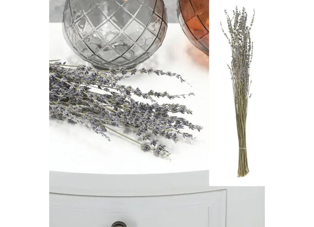 Natürlicher Lavendelzweig, 45-55 cm - Aromatischer Dekorzweig TK Gruppe® Grosshandel 