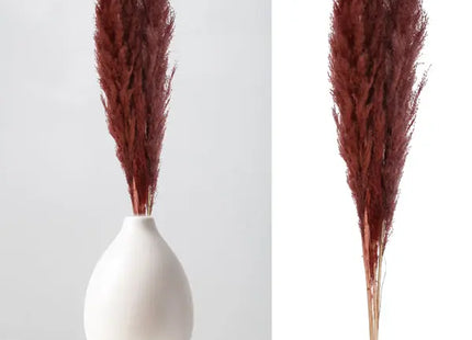 Natürliches Braunes Pampasgras - Dekoratives Set, 3 Stiele, 100-115cm TK Gruppe® Grosshandel 