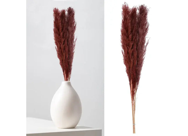 Natürliches Braunes Pampasgras - Dekoratives Set, 3 Stiele, 100-115cm TK Gruppe® Grosshandel 